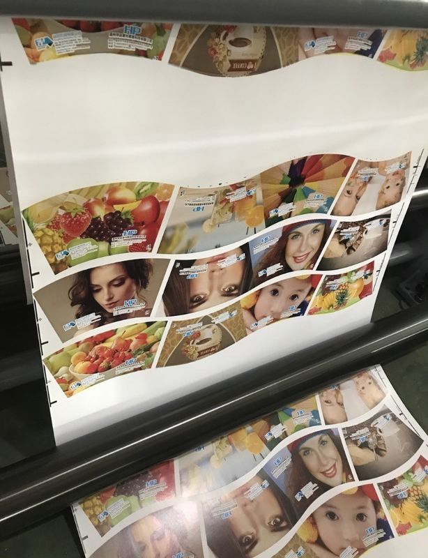 Multi-Color Auto Registratie PE Cups Flexo Printing Machine met aangepaste aanvraag