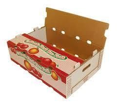 Paper Cup 4 Color Flexo Printer met aanpassingsmogelijkheid en 150m/min printsnelheid