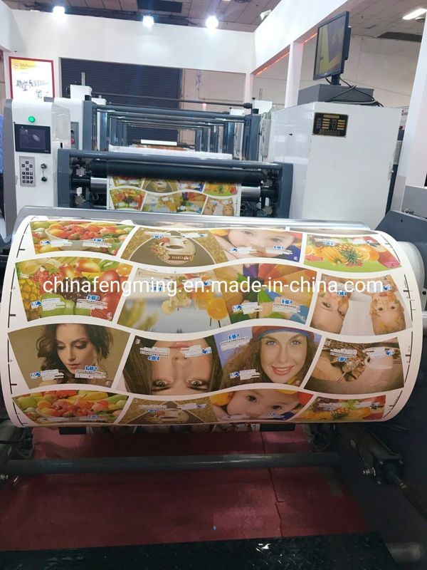 Vloeibare inktflexodrukmachine voor papieren tassen