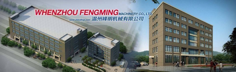 CE-goedgekeurde Fengming-papier-flexodrukmachine