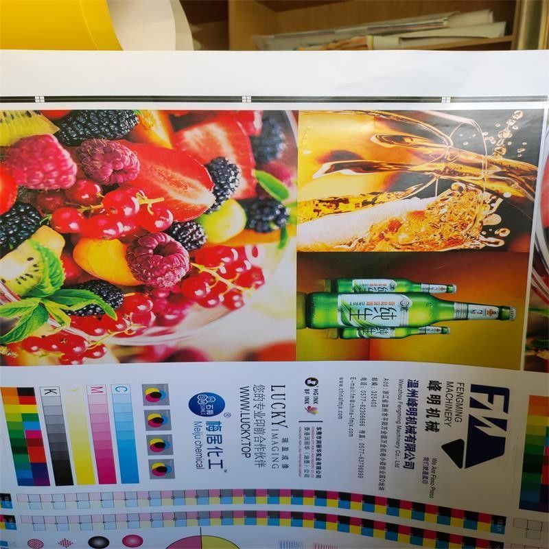 Op maat gemaakte aanvraag High Speed 6 Color Unit Type Flexo Printing Machine voor papierrol