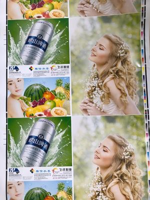 CE-goedgekeurde Fengming-papier-flexodrukmachine