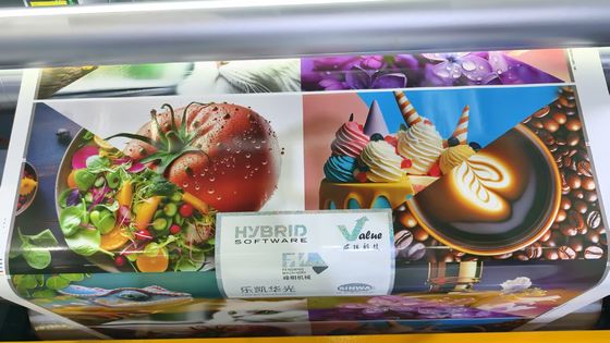 Automatische hoogwaardige rol tot rolblaadje volservo-model flexoprinter